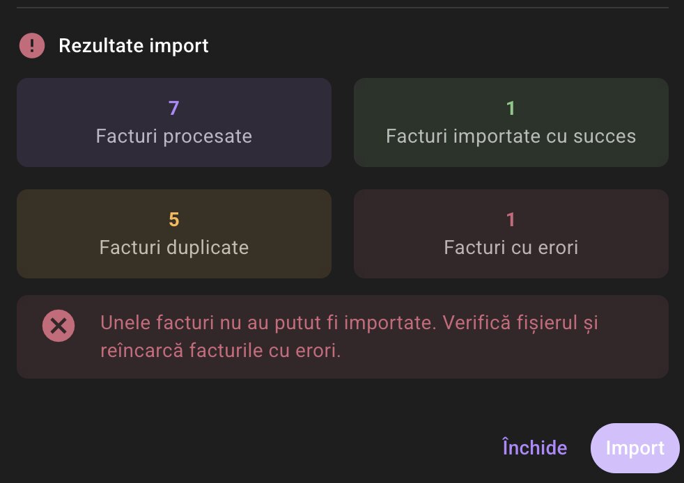 Exemplu status eFactura cu erori