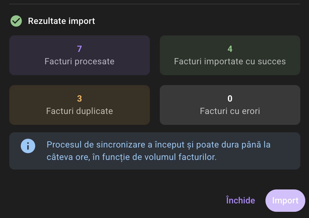Exemplu status eFactura cu succes